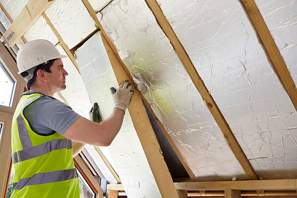 Best Spray Foam Insulation  in Edgemere, MD